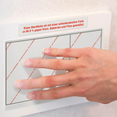 AVERY ZWECKFORM Étiquettes L8012-10 Antimic. 210x148mm transp.