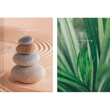 RIDOIDE Agenda Mentor Grafik 2026 7026037956.26 1T/1S assort. ML 14.8x20.8cm