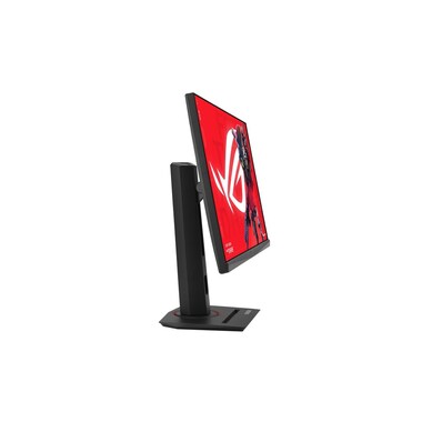 ASUS Moniteur XG279CNS
