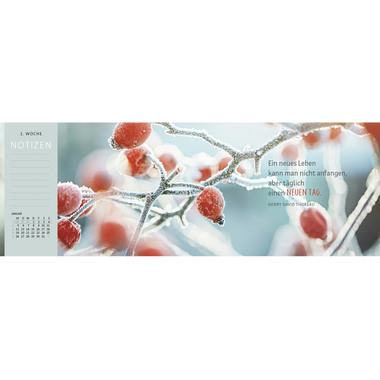 ARS EDITION Tischkalender 2026 13571 Lebensweisheit DE 29.7x11.5cm