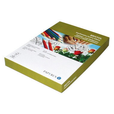 PAPYRUS Carton Bristol A4 88077859 300g, blanc 125 feuilles