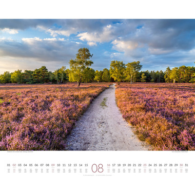 ACKERMANN Calendrier 2026 2634 Wege ML 54x48cm