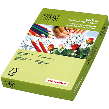 PAPYRUS Carton Bristol A4 88077845 180g, blanc 250 feuilles