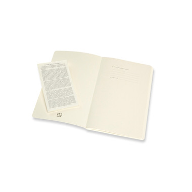 MOLESKINE Notizheft 2x 21x13cm 620602 blanko,feilchen/bernst.,96 S.