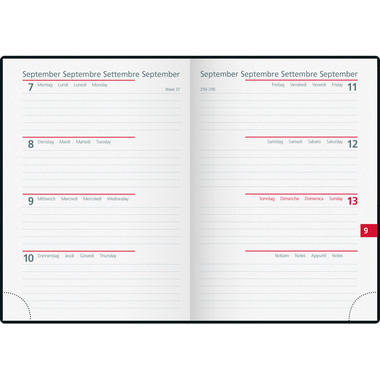 SIMPLEX Ladytimer Linea 2026 40553.26 1W/2S Night ML 10x14cm