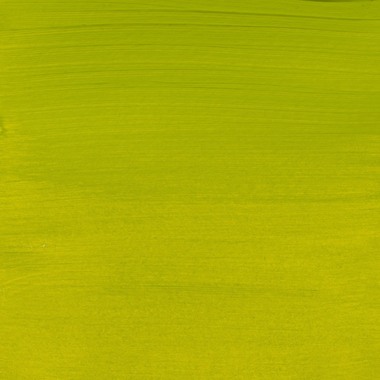 AMSTERDAM Peinture acrylique 120ml 17096212 olive 621