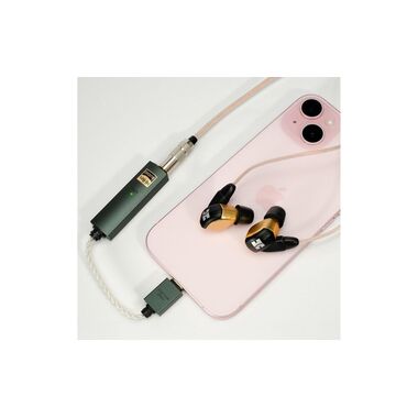 iFi Audio amplificatore per cuffie & USB-DAC GO link Max