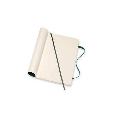MOLESKINE Taccuino SC L/A5 600042 punti, verde, 240 pagine