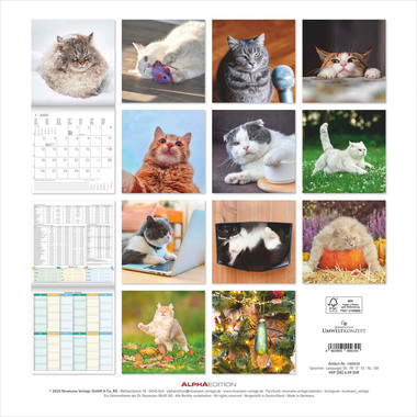 ALPHA EDITION Calendrier 2026 160939 Funny Cats ML 30x30cm