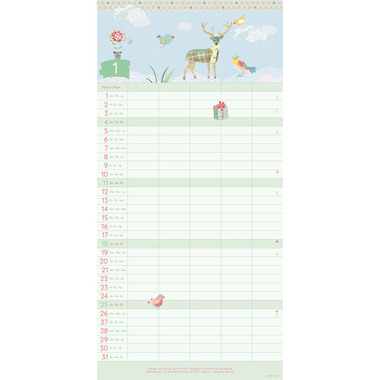 ALPHA EDITION Familienplaner Turnowsky 2026 360411 1M/1S ML 5 Spalten 22x45cm