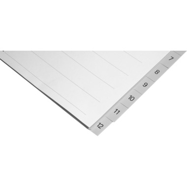 BIELLA Register PP A4 47141200U grau 1-12