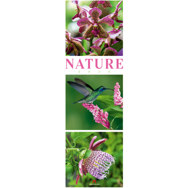 ACKERMANN Bildkalender 2026 2656 Nature ML 33x100cm