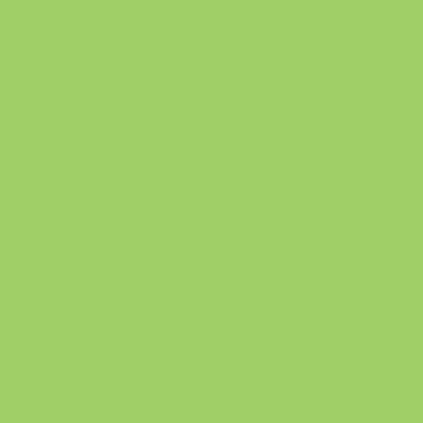 PAPYRUS Rainbow Papier FSC A4 88042652 80g, grün 500 Blatt