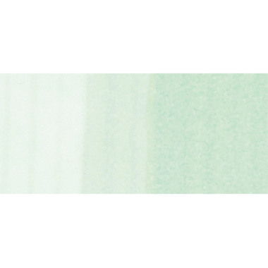 COPIC Marker Sketch 21075252 G000 - Pale Green