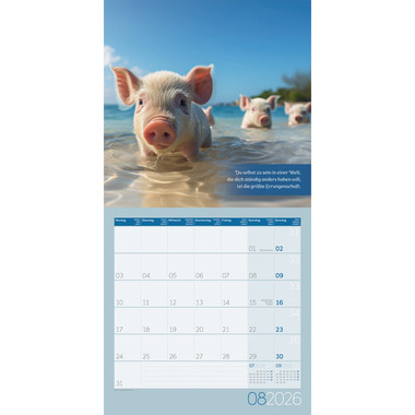 ACKERMANN Calendrier 2026 4633 Alles wird gut ML 30x30cm