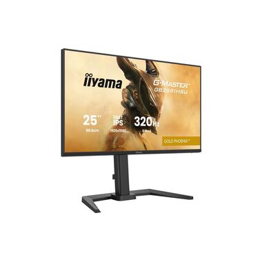 iiyama Moniteur G-Master GB2591HSU-B1