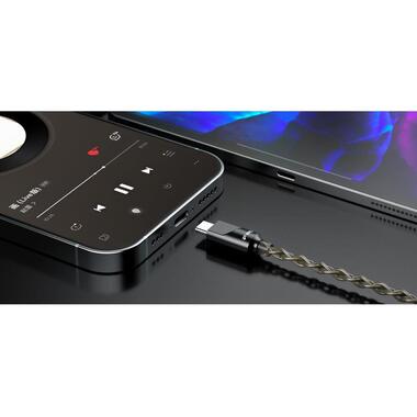 FiiO Earphone Cable LS-TC2 Silver