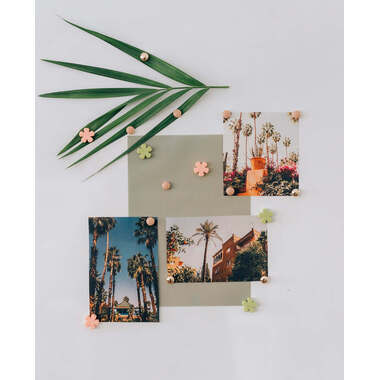 I AM CREATIVE Magnet Blume Let`s Organize 4035.59 pastell 6 Stück