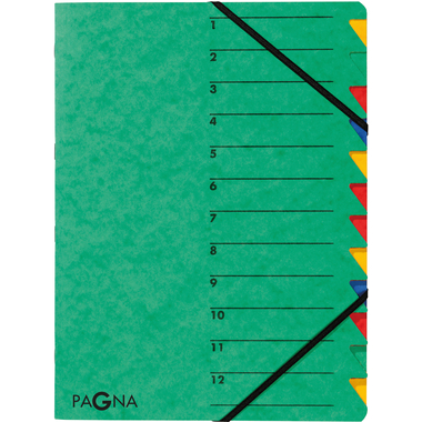 PAGNA Fächermappe EASY A4 24131-03 grün 12 Fächer