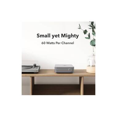 WiiM Lecteur audio réseau Amp Gris
