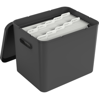 ROTHO Archivbox MyPaper 1064508080 29x29.5x40cm schwarz