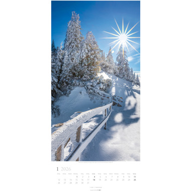 WEINGARTEN Calendario 2026 3150200+26 Im Wald DE 33x68cm
