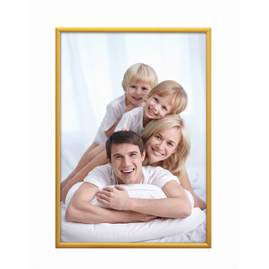 DEBEX Wechselrahmen 21×29,7cm 900012-210X2 Alu gold