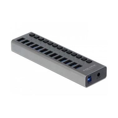 Delock USB-Hub 63738 USB 3.0 - 13x Tipo-A