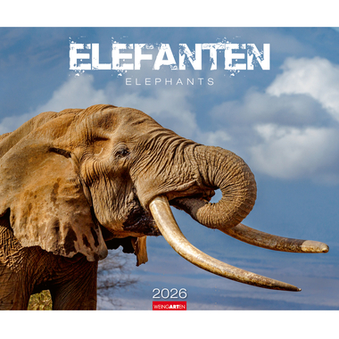 WEINGARTEN Calendrier 2026 2960300+26 Elefanten DE 55x46cm