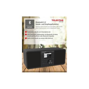 Telestar Internet Radio TOP 250 Nero