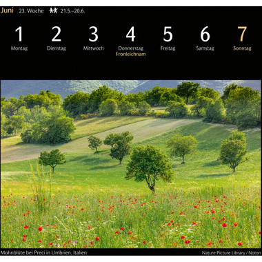HARENBERG Calendario in cartolina 2026 3310116+26 Magic Nature DE 16x17.5cm