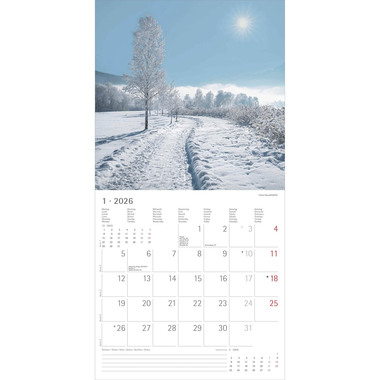 ALPHA EDITION Bildkalender 2026 160325 Wege ML 30x30cm