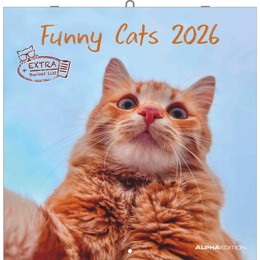 ALPHA EDITION Calendrier 2026 160939 Funny Cats ML 30x30cm