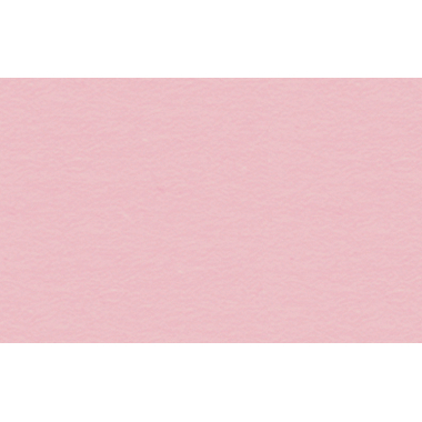 URSUS Cartone per foto A4 3764629 300g, rosa antico 100 fogli