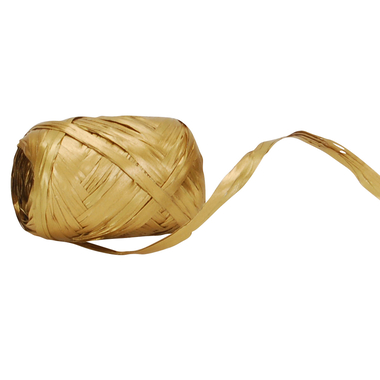 SPYK Bande Poly 0649.1080 10mmx20m or