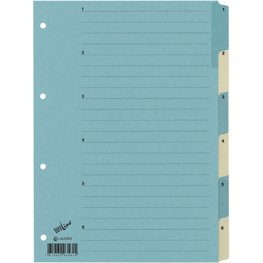 BÜROLINE Répert. carton A4 663400 bleu/beige 1-6