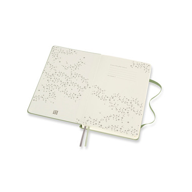 MOLESKINE Notizbuch Thema Lifestyle A5 647620237 grün, liniert 400 Blatt