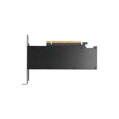 PNY Graphics Card Nvidia RTX PRO 2000 Blackwell