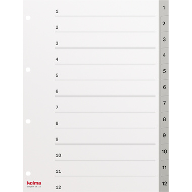 KOLMA Register LongLife A4 19.112.03 grau 1-12