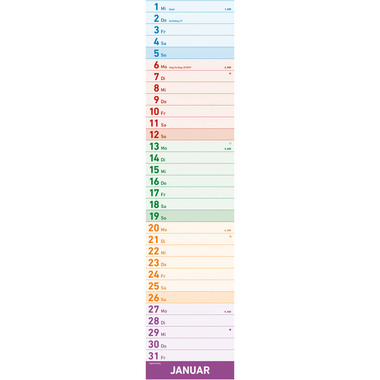 ALPHA EDITION Megaplaner 2026 160590 1M/1P AL 1 colonne 14.5x70cm