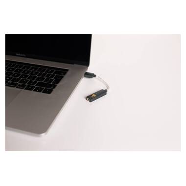 iFi Audio Amplificateur de casque & USB-DAC GO-Link