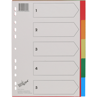 BÜROLINE Register PP A4 40980 multicolor 5-teilig