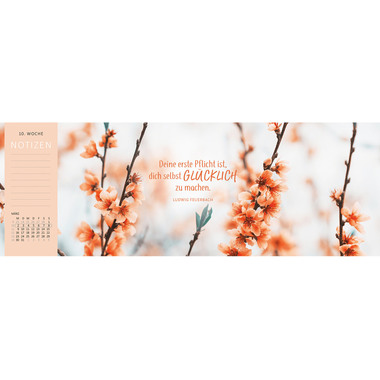 ARS EDITION Calendrier de table 2026 13572 Lieblingstag DE 29.7x11.5cm