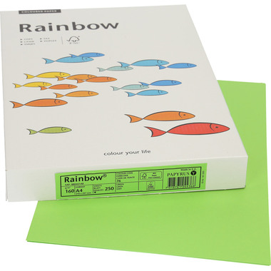 RAINBOW Carta verde/76 A4 88043140 FSC, 160g 250 fogli