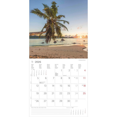 ALPHA EDITION Calendrier 2026 160300 Summer Dreams ML 30x30cm