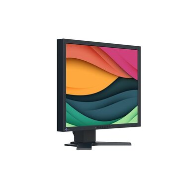 EIZO Monitor FlexScan S2134 Swiss Edition