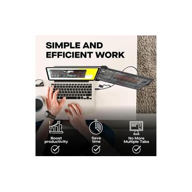 Mobile Pixels Monitor Duex Plus DS