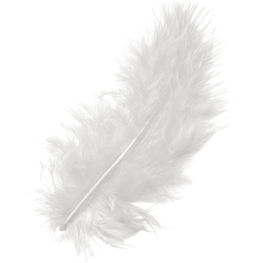 KNORR PRANDELL Plumes marabout 10cm 6619002 blanc 15 pcs.