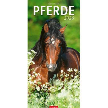 WEINGARTEN Calendario 2026 3119300+26 Pferde DE 33x68cm