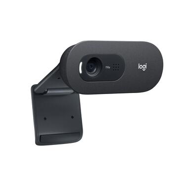 Logitech Webcam C505e HD Bulk